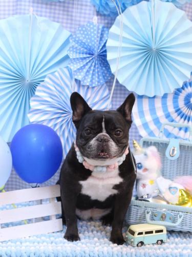 20231114スミレちゃん